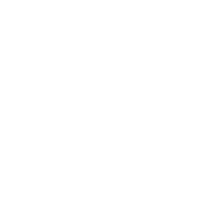 Fyxer